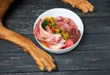 raw diet for dogs