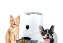 Best Automatic Pet Feeders 2025 – Vet-Approved Buying Guide for Happy, Healthy Pets