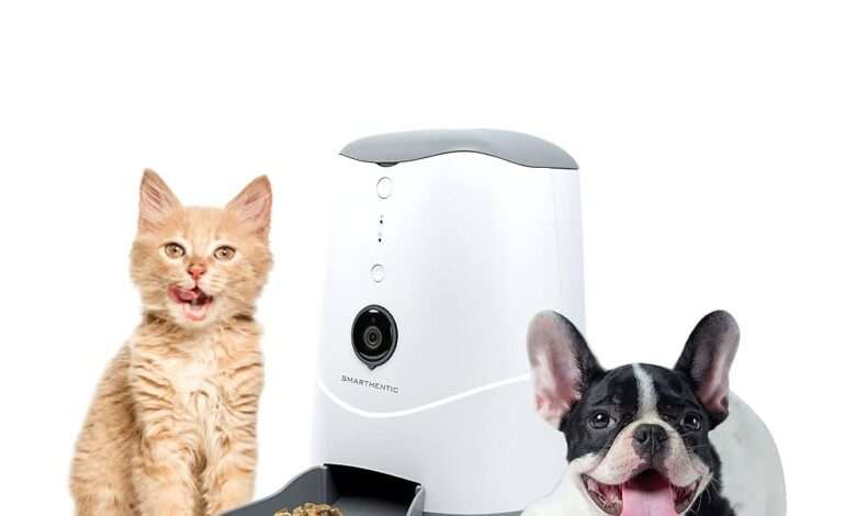 Best Automatic Pet Feeders 2025 – Vet-Approved Buying Guide for Happy, Healthy Pets