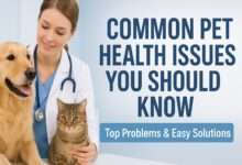Common Pet Health Issues