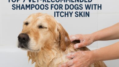 Vet-Recommended Shampoos for Dogs with Itchy Skin